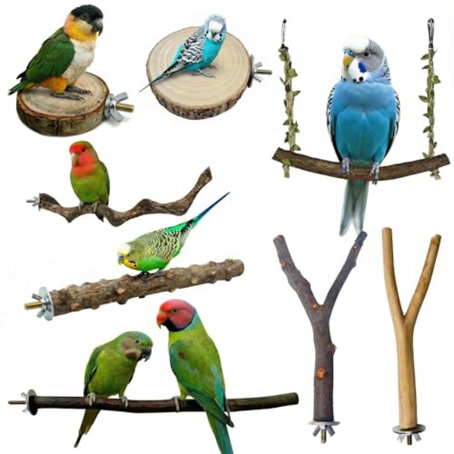 8PCS natural wood bird perches - đánh giá và giá Health & Wellness Waiver Indiana